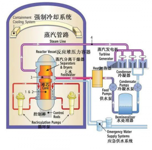 我们该如何看待日本排放福岛核废水？