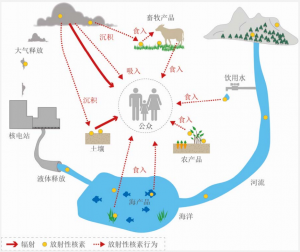 我们该如何看待日本排放福岛核废水？