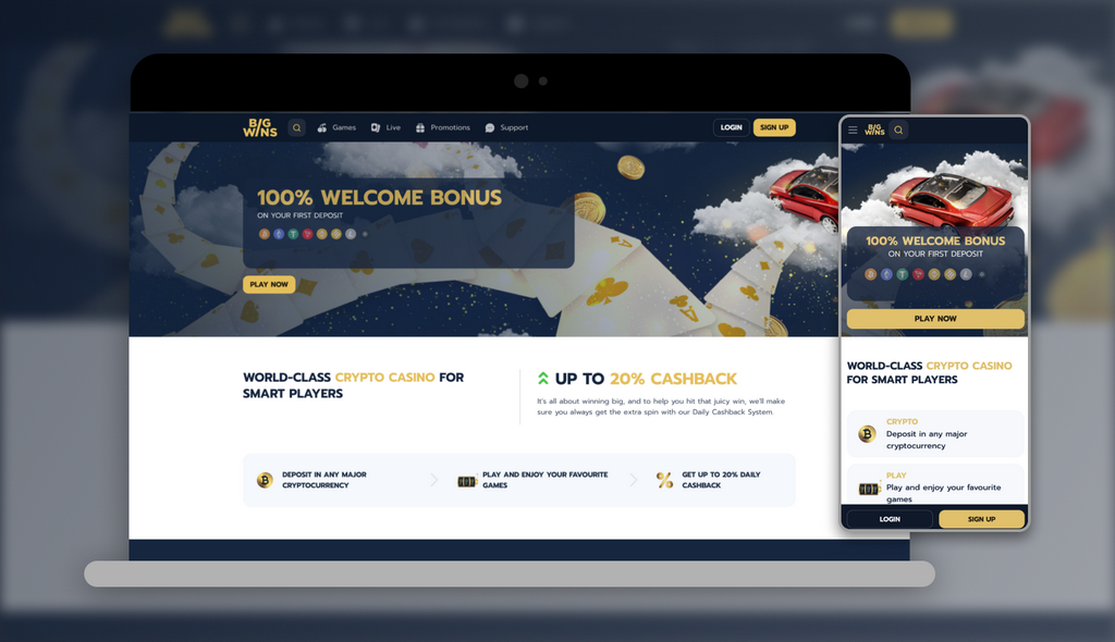 Big Wins Online casino experiences and testimonial 2025